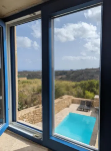 Sea Holly Gozo