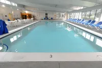 Sea Mist Resort - Pool