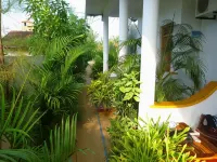 Surf & Sand Hotel Arugambay Hotels in 