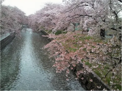 Route Inn Grantia Komaki Near Hotel Photos