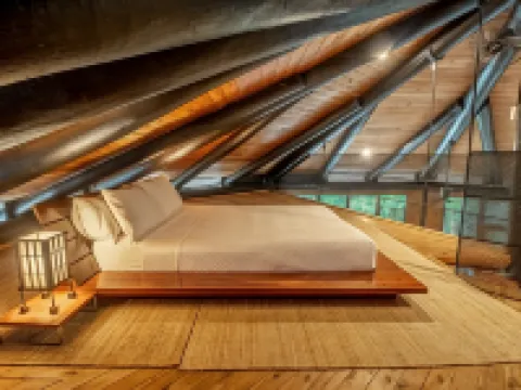 Daintree Cascades Hotels in Diwan