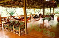 Amazon Dolphin Lodge - Homestays