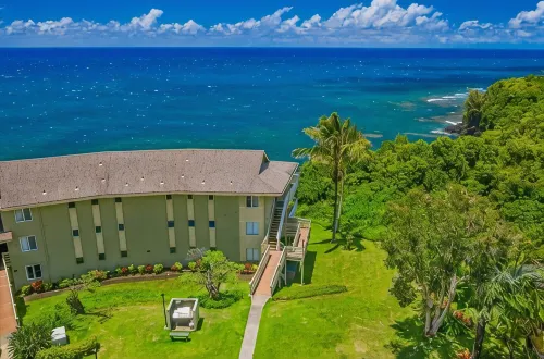 Mesmerizing Ocean View -Hawaiiana Style Walkout Unit - Whale and Bird Watching - 3-Star