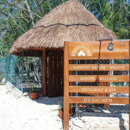 Akumal Natura Glamping