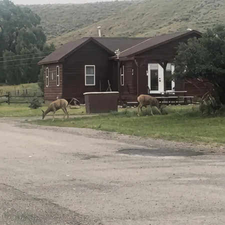 Old West Charm: A Place Where One Can Breath and Feel Free!