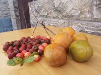 西柏坡曉航民宿