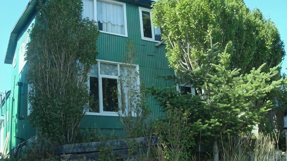 Hostal Bellavista Patagonia