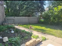 Charmer on 4th · 3Br/2BA · Downtown · Fire Pit · Fenced Yard · Enclosed Porch