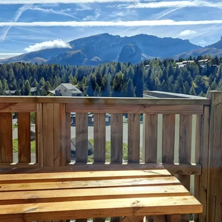 Xylocopa: Pic de Bure, 360° mountain view!