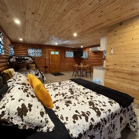 Charming Log Cabin on a Quiet Back Road to Get Away from it All and Enjoy Nature