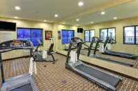 Holiday Inn Express & Suites DEWITT (SYRACUSE) by IHG - Gym