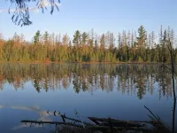 The King's Cottage ~ A Very Quiet Northwoods Retreat/Abuts Bearskin State Trail - Chalets