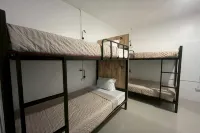 Lazy Lizard Hostel