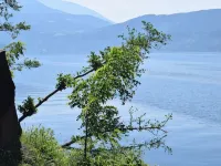 2geräumiges Ferienhaus in den Schönen Alpen Hotels in Dobriach