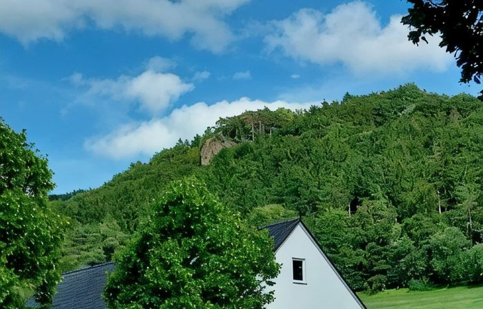Gemütliche Ferienwohnung mit Blick auf Wald Wiesen und Dolomiten