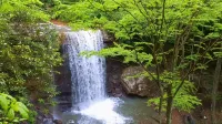 Stay In Ohiopyle next to the GAP Trail