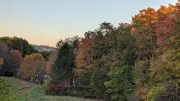 Farmhouse On 14 Acres.  Close to Monticello & Ash Lawn Highland - 3-Star