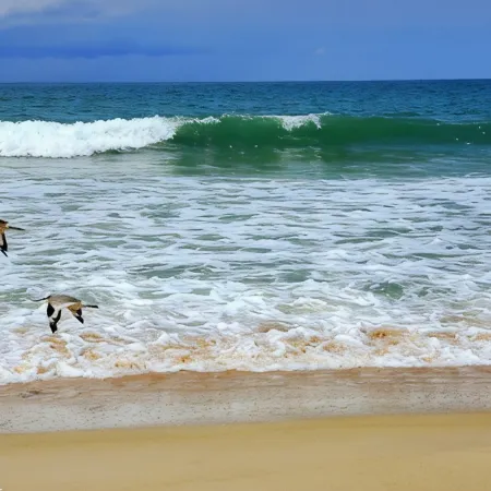 Oceanfront Escape, Private Sandy Beach Getaway