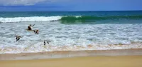 Oceanfront Escape, Private Sandy Beach Getaway - Strand
