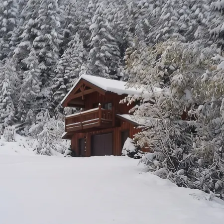 Get away from the stress and strain of life at this romantic mountain cabin.