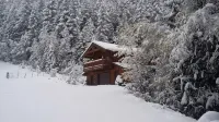 Get away from the stress and strain of life at this romantic mountain cabin.