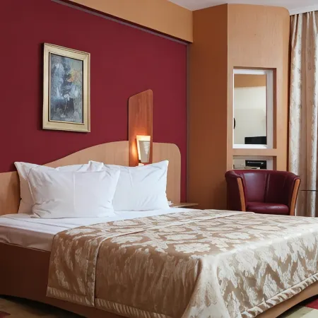 Ambassador Hotel Hotels in Timisoara