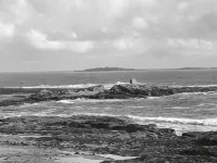 Nine King Street Seahouses Room Only Accommodation Hotels in Seahouses