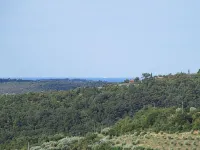 Old farmhouse in the heart of the 'Slovenian Tuscany' - Homestays
