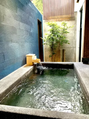Etchu Inami Machiya Ryokan Kokarian - Hot Springs