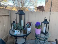Wild West Rockies! PET FRIENDLY!2 Fenced-in yards!JACUZZI HOT TUB!