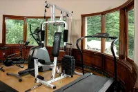 Solang Valley Resort - gimnasio