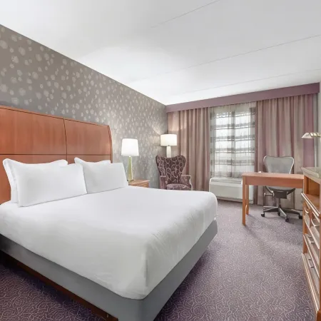 Hilton Garden Inn Springfield, MA