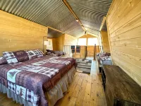 Indian Paintbrush Cabin 2 - 2 bedrooms in Creede, Colorado - Chalets