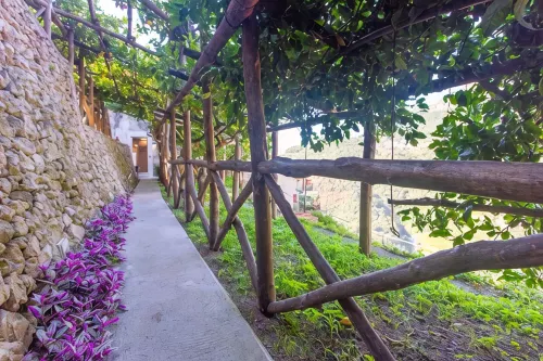 Poggio Angelarosa: Double Room in Lemon Garden on the Hills of the Amalfi Coast
