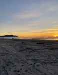 Oceanfront in Gearhart Highlands - 4-Star