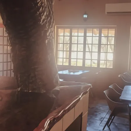 VIVO LODGE