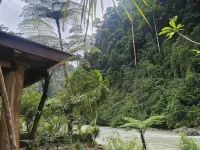 Back to Nature Ecotourism Hotels in Langkat Regency