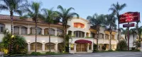 Hotel & Suites Quinta Magna - Cheap