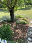 5-Bedroom Estate – 12 acres, Huge Space, Fast WiFi, Fitness Room, & More! - Boutique
