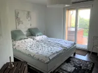 Vacation apartment on Lake Thun - magnificent views of the lake and mountains