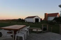 Countryside Beauty - Min to Madison/Perfect for families/Events&Dogs! Lrg yard - 民宿