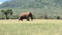 Ripo Wild Safaris - Wi-Fi
