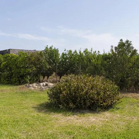 Indipendent Semi-Detached Villa in the Countryside, Surrounded by Greenery