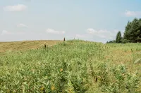 Northwoods Country Getaway! 40 acres to play and enjoy! No Cleaning Fee!! - Wifi