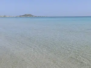 Dar Lebharr Studio