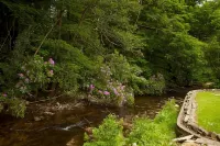 Clody Lodge - Barer