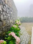 Bloomingdale Bungalows - Nuwaraeliya - Haustierfreundliche
