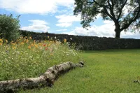 2 bedroom cottage, with far reaching views of the garden and open countryside. - Wifi