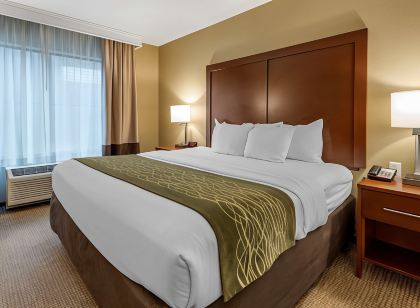 Comfort Inn & Suites Pittsburgh