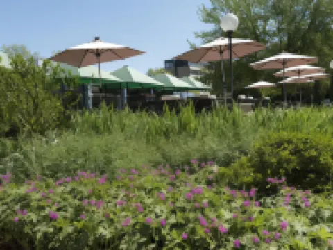 Mercure Hotel Mannheim am Friedensplatz Hotels near Maimarkt